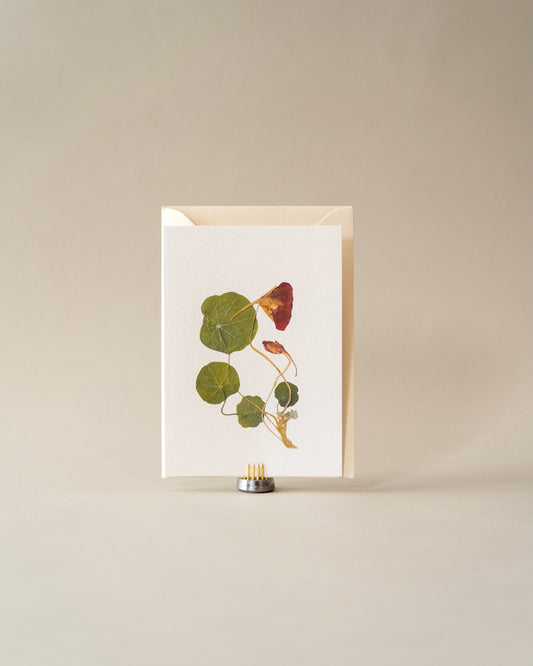 Card - September Nasturtium