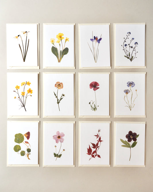 Seasonal Cards Set of 12