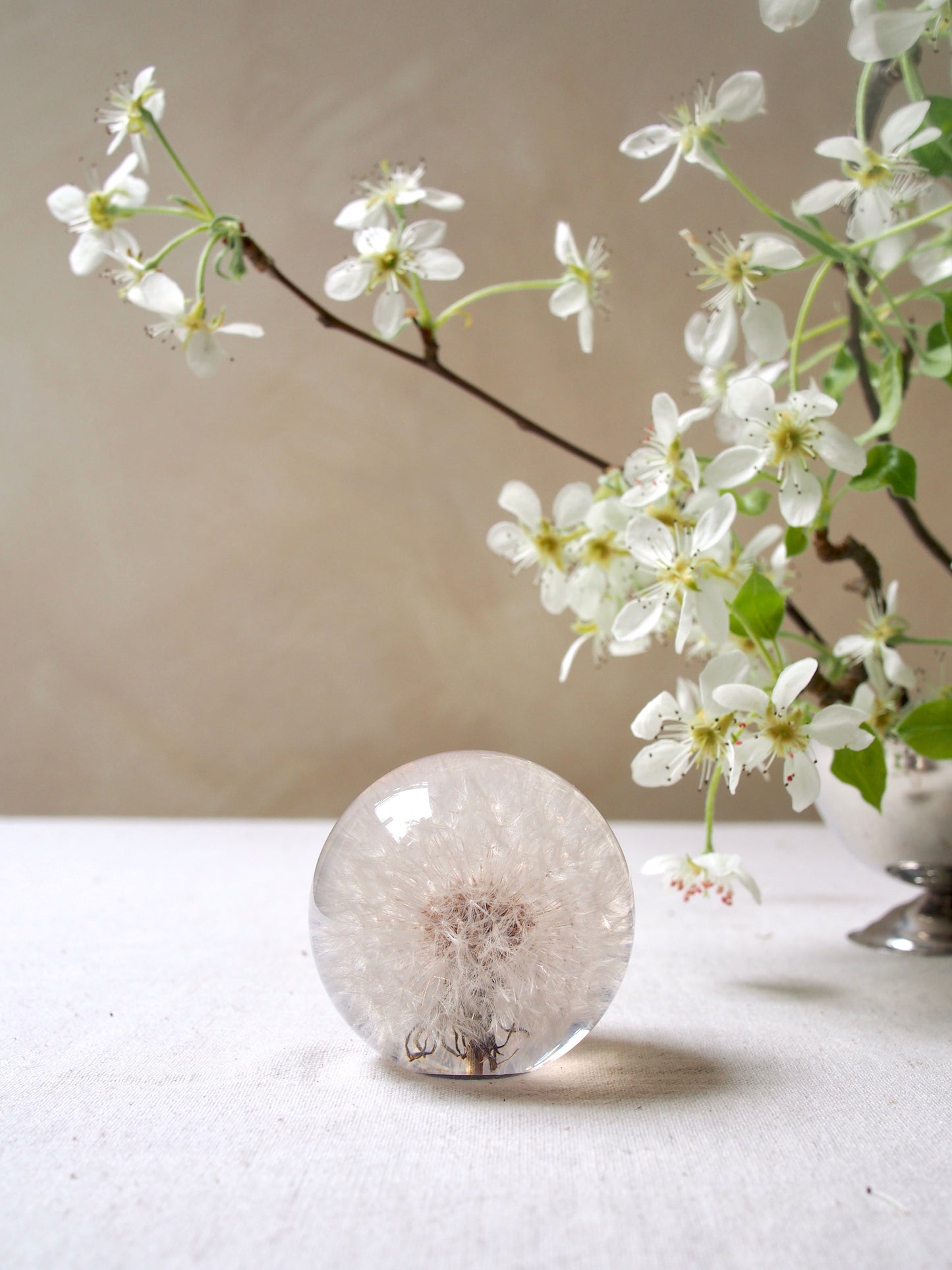 Botanical Paperweights