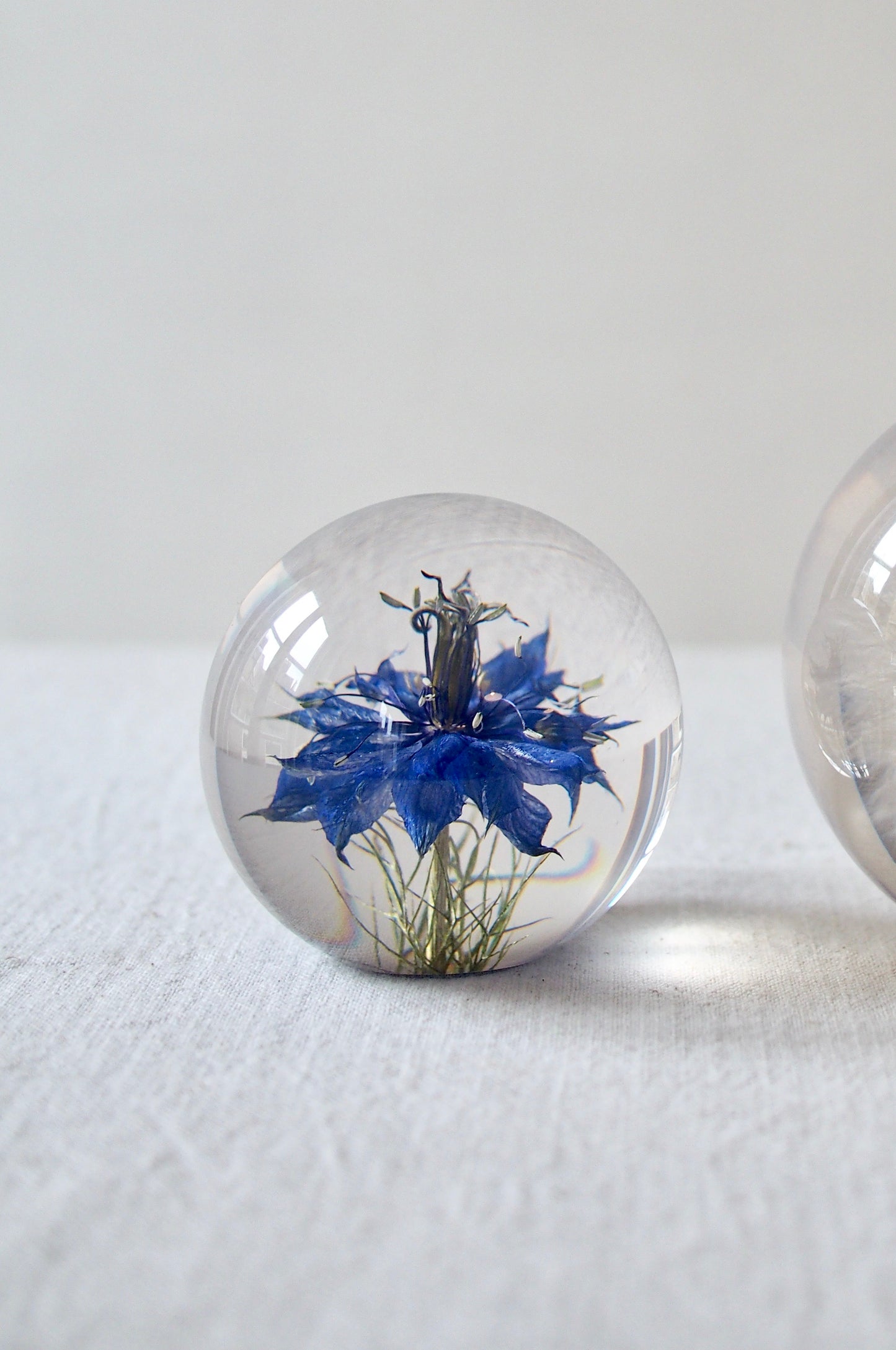 Botanical Paperweights