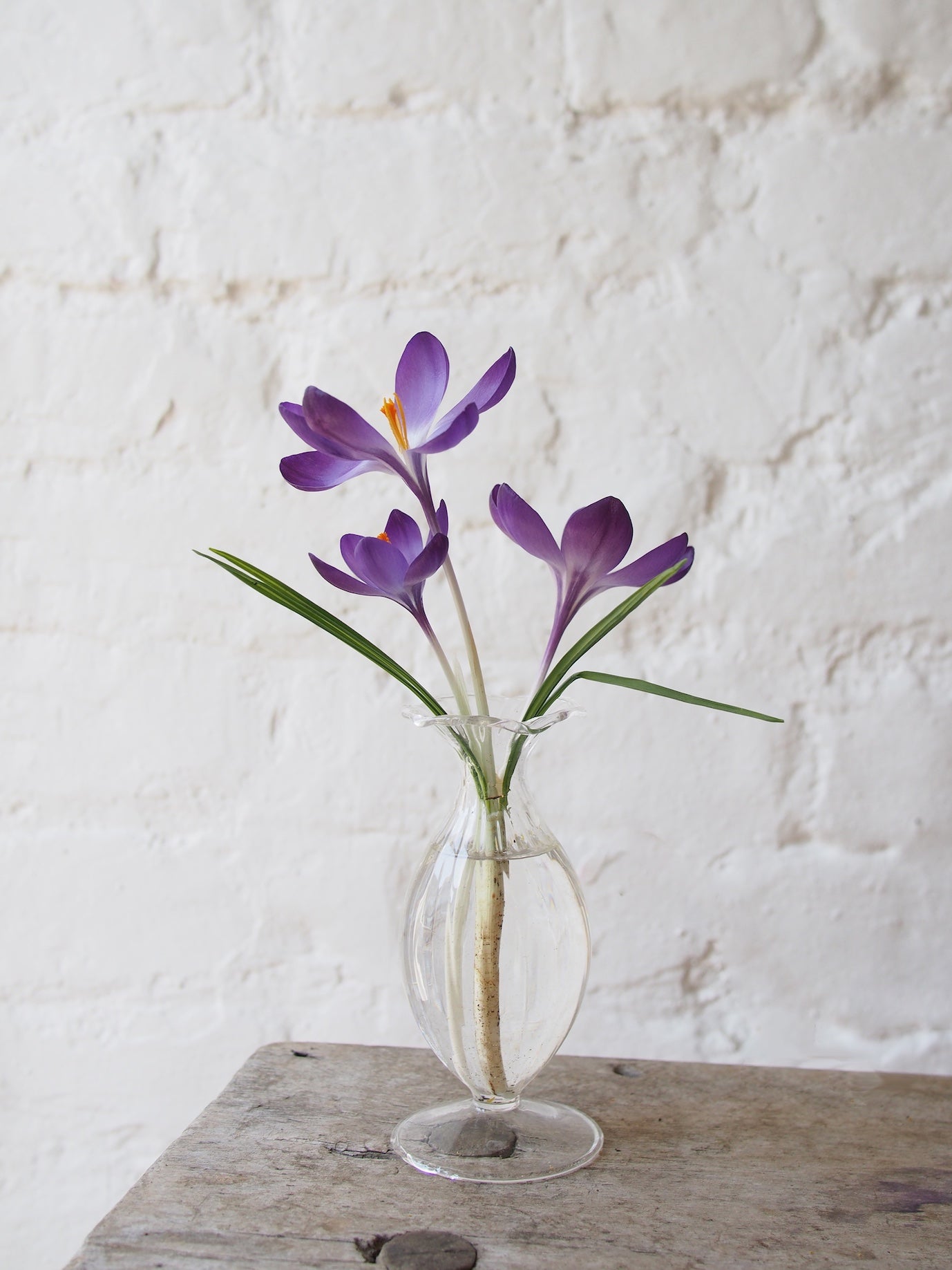 Glass Bud Vase