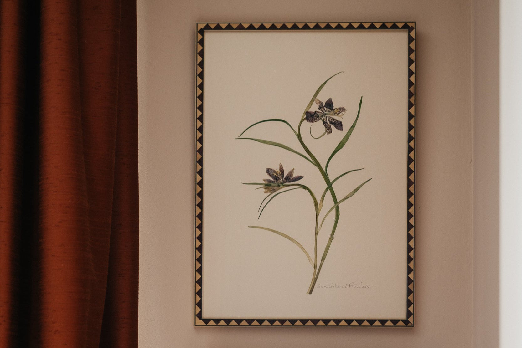 Snake's Head Fritillary_Ellen Hancock.jpg