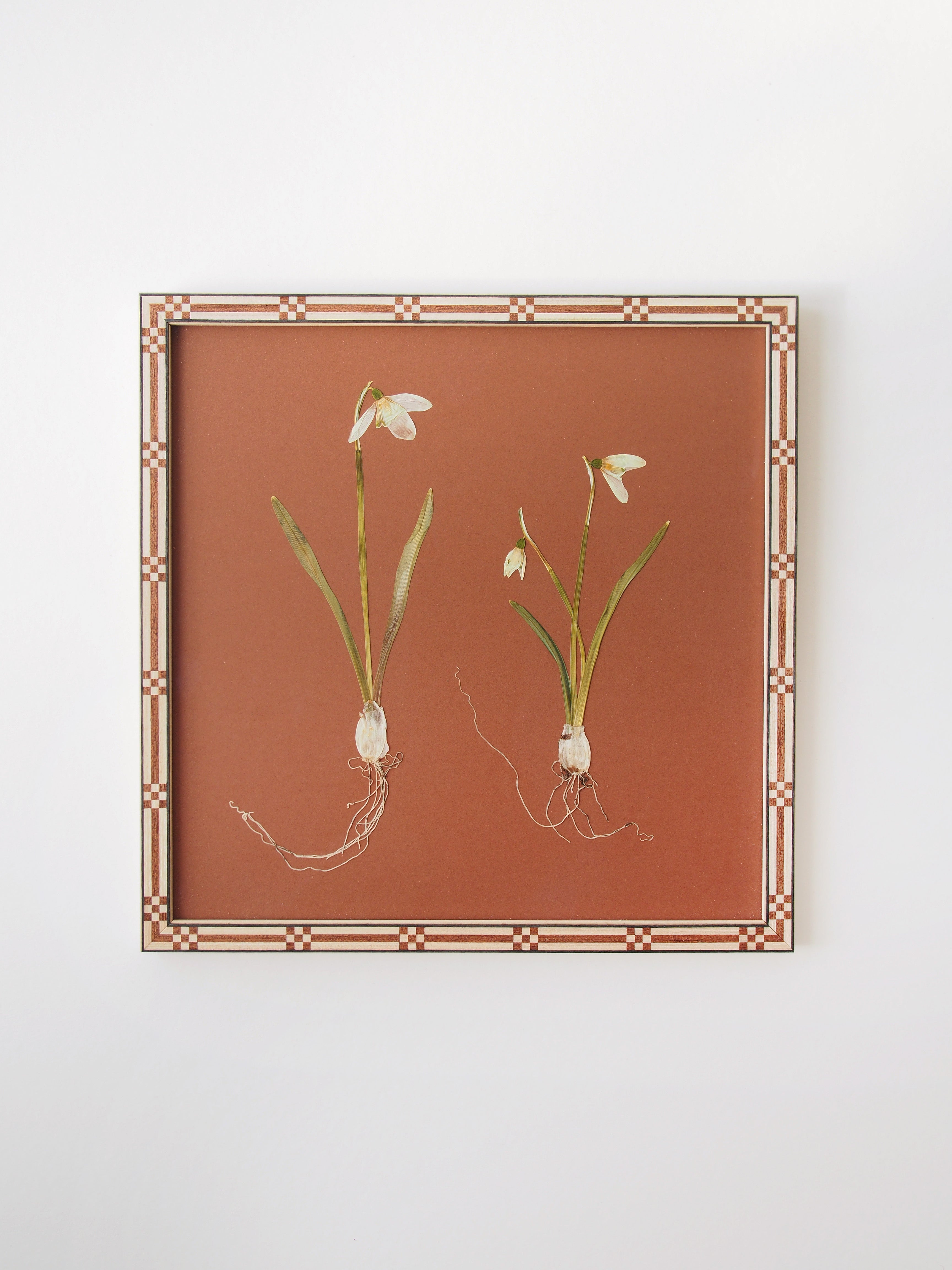 JamJar Edit - Snowdrop Pair with Marquetry Frame