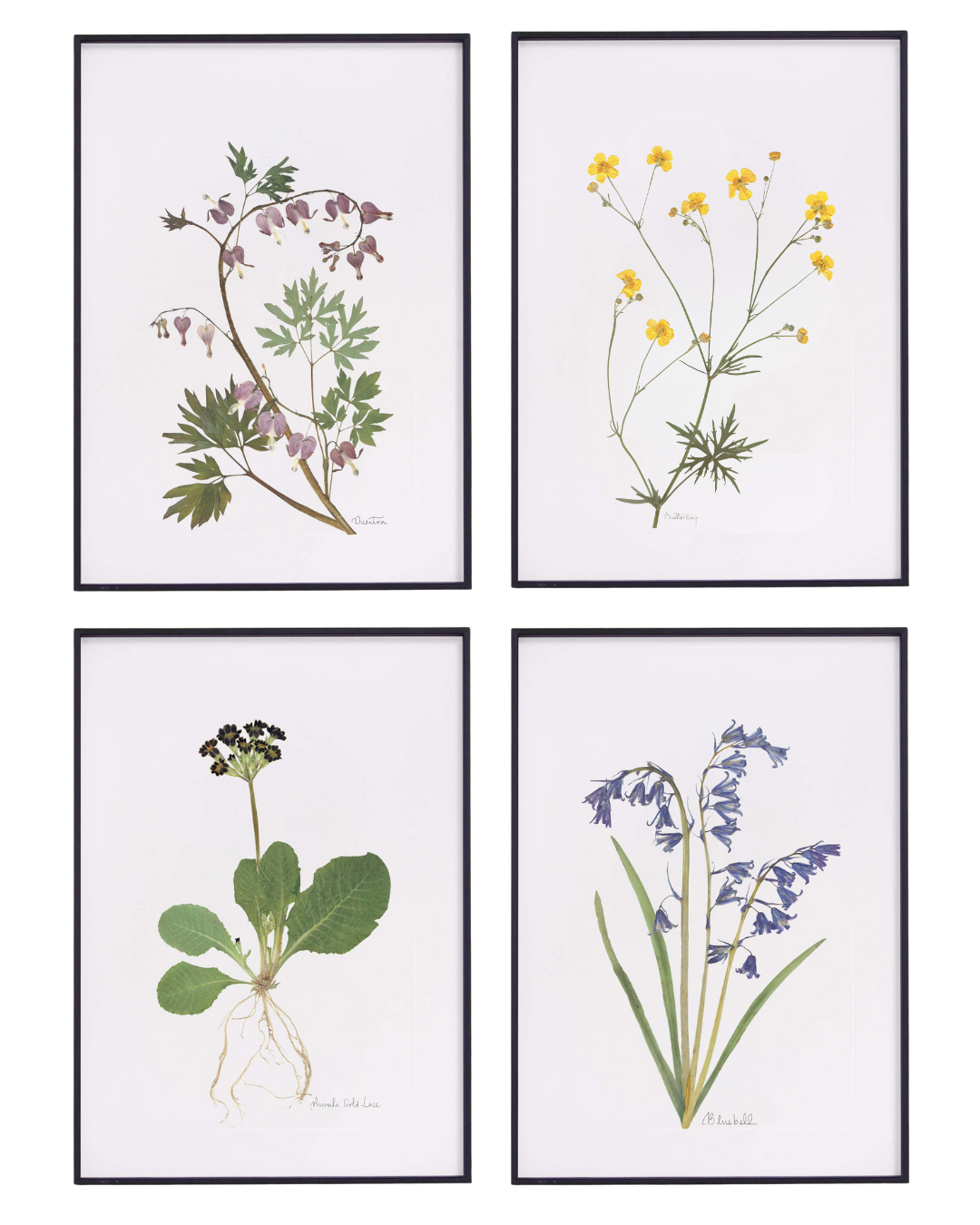 JamJar Edit - Spring Prints - Set of Four