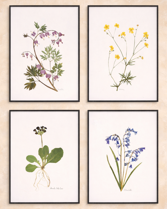 Spring Prints - Set of Four
