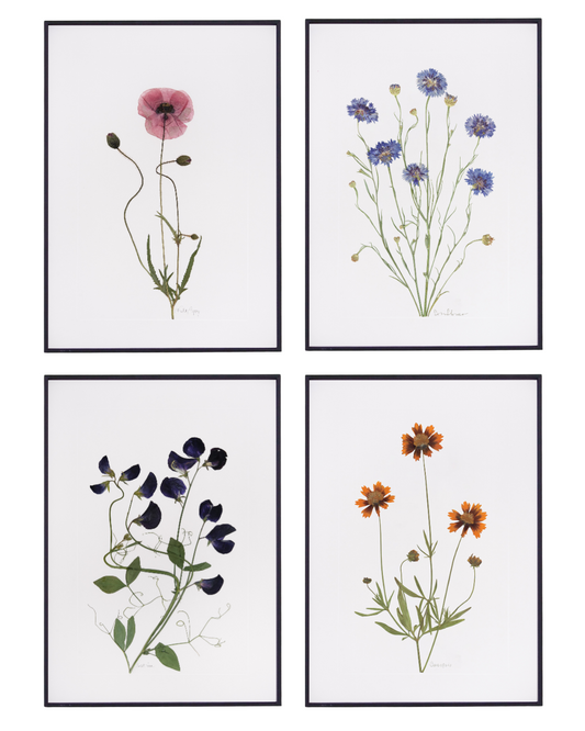 Summer Prints - Set of Four