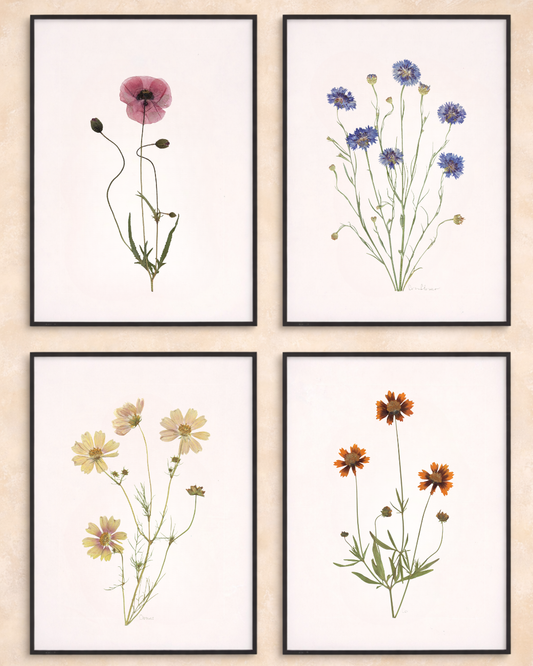 Summer Prints - Set of Four