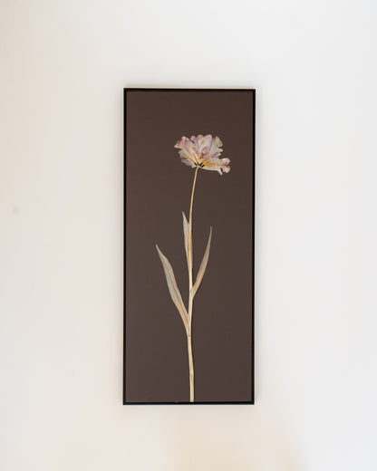 Tulip