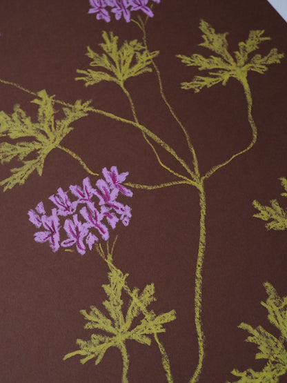 Pastel Pelargonium - Rust & Lilac