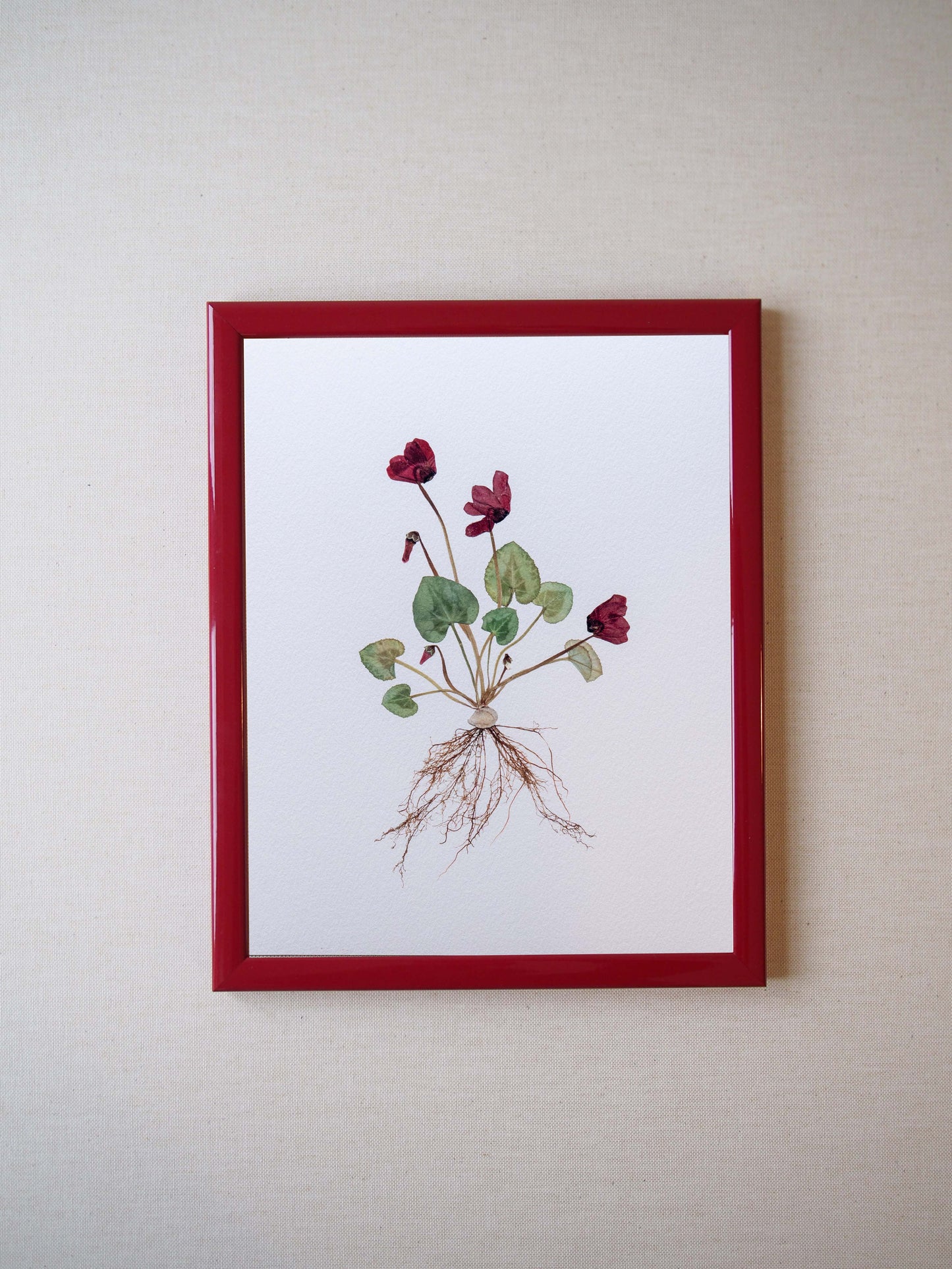 Cyclamen Print