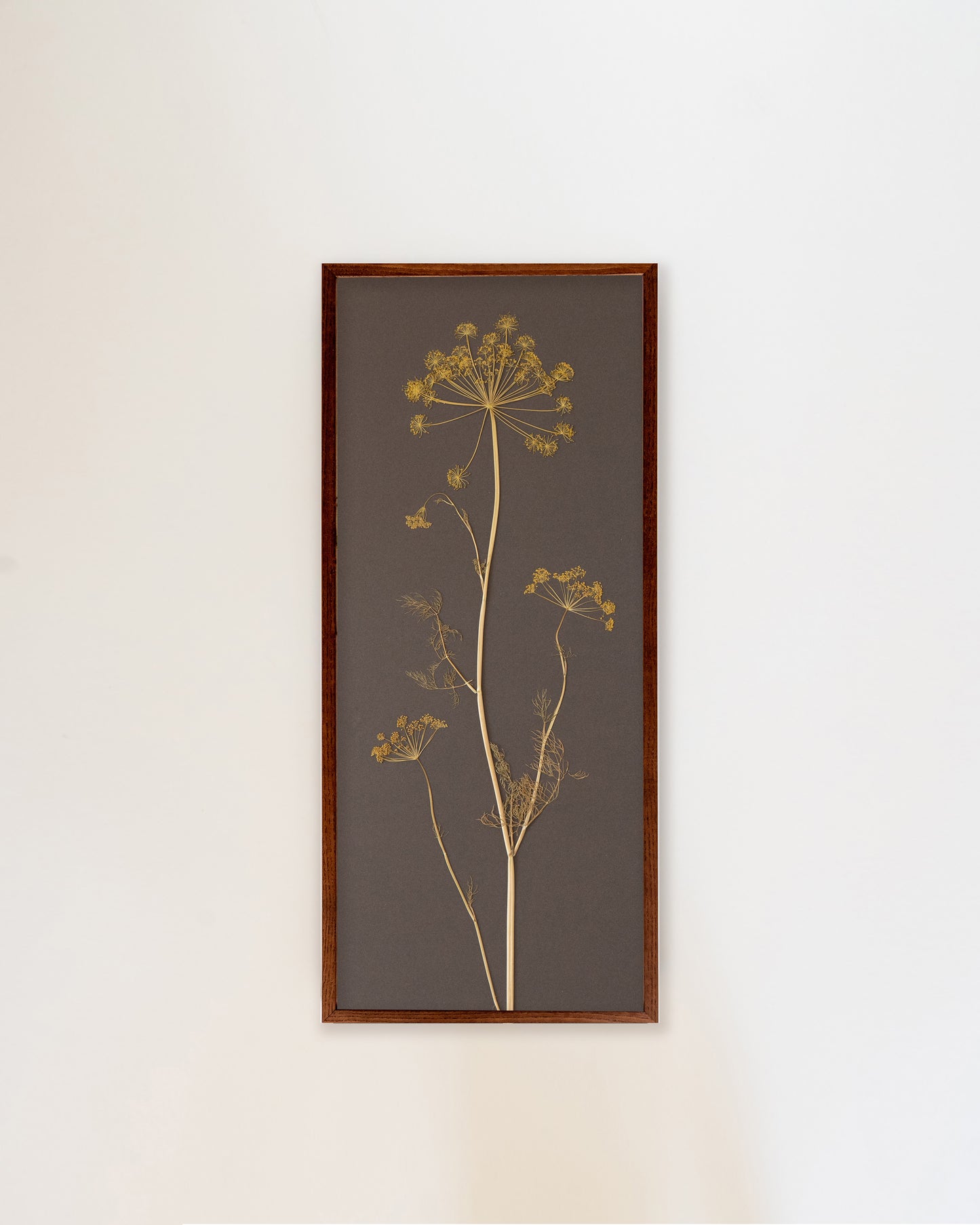 Fennel