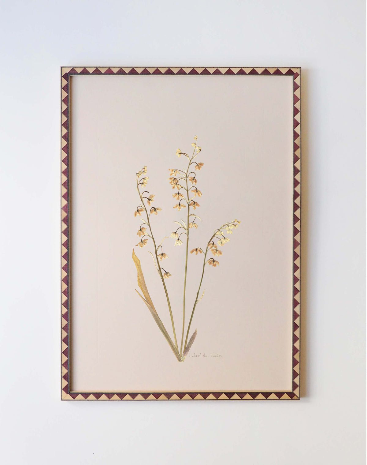 Lily of the Valley