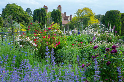 Flower Pressing at Goodnestone Park, 6th May