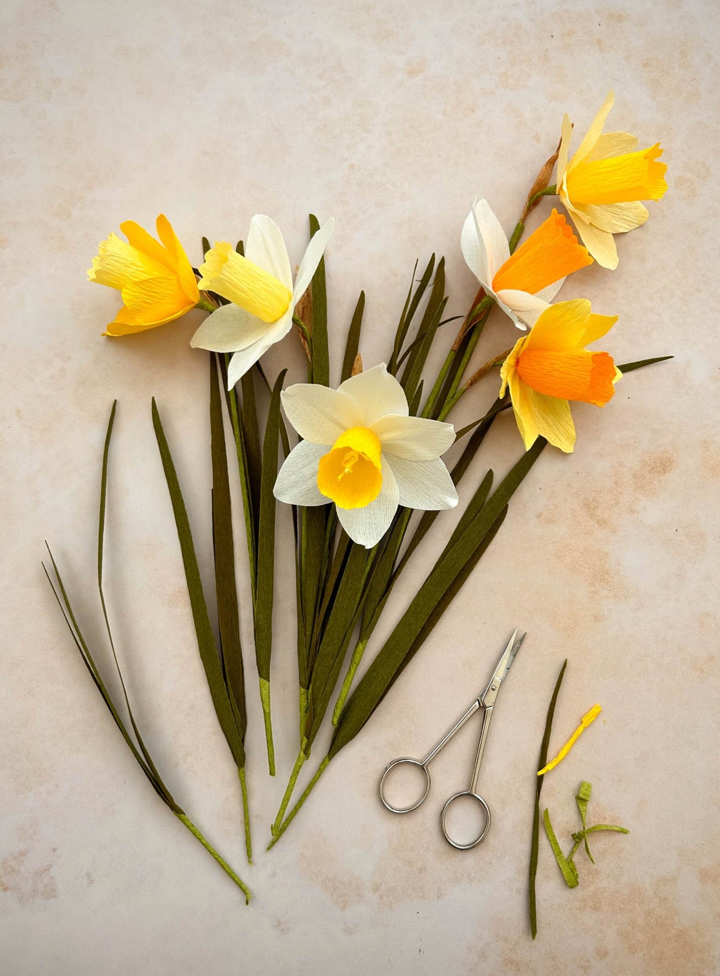 Paper Daffodil Workshop, 18th January