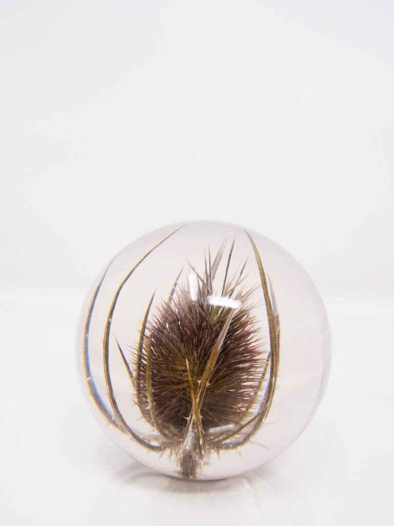 Botanical Paperweights